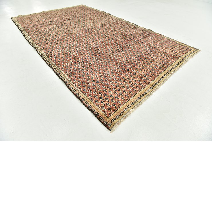 5' x 8' 3 Botemir Persian Rug