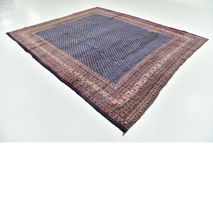 9' 7 x 11' 7 Botemir Persian Rug