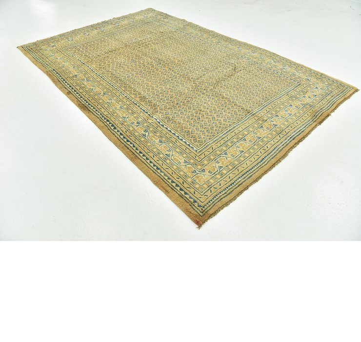 6' 9 x 10' 3 Botemir Persian Rug