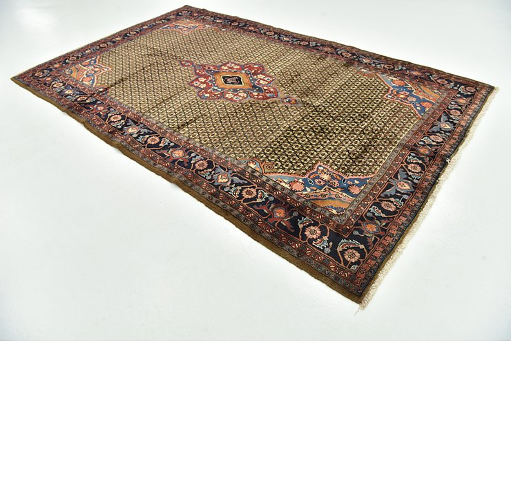 6' 8 x 10' 9 Songhor Persian Rug