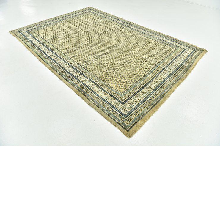 7' x 10' 7 Botemir Persian Rug