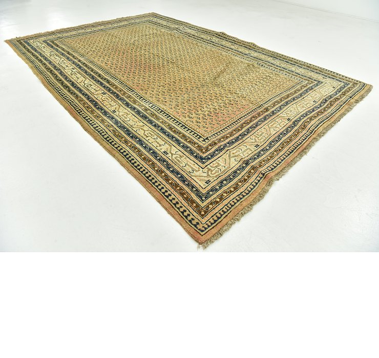 7' 10 x 10' 3 Botemir Persian Rug