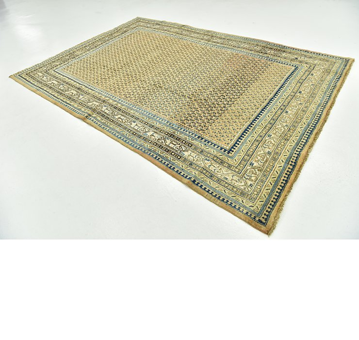 7' 3 x 10' 6 Botemir Persian Rug