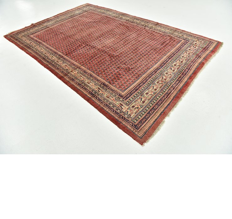 6' 10 x 10' 4 Botemir Persian Rug