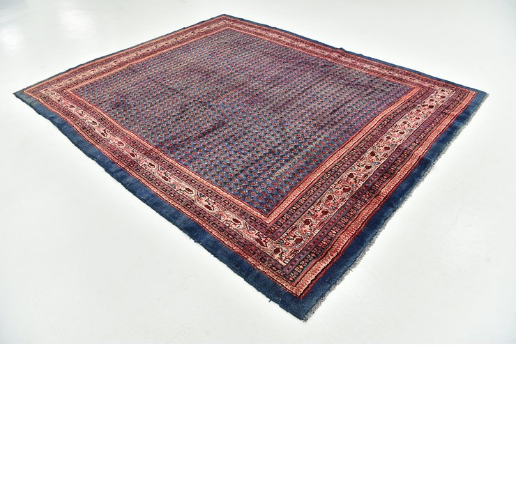 8' x 10' Botemir Persian Rug