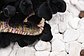 5' 3 x 7' 7 Collectible Rug thumbnail image 9