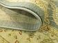 5' x 8' Kensington Rug thumbnail