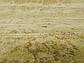 8' x 8' Kensington Round Rug thumbnail