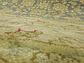 8' x 8' Kensington Round Rug thumbnail