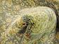 155cm x 245cm Kensington Rug thumbnail image 28