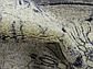 8' x 8' Vista Round Rug thumbnail