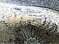 6' x 6' Vista Round Rug thumbnail