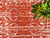 80cm x 305cm Loft Runner Rug thumbnail image 3