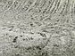 Unique Loom 8' x 8' Del Mar Round Rug thumbnail image 16