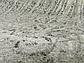 8' x 8' Loft Round Rug thumbnail