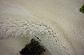 4' x 6' Abstract Shag Rug thumbnail