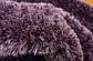 3' 3 x 5' 3 Luxe Solid Shag Rug thumbnail