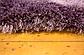 6' x 6' Luxe Solid Shag Round Rug thumbnail