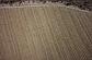 185cm x 185cm Luxe Solid Shag Round Rug thumbnail image 15