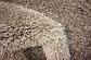 185cm x 185cm Luxe Solid Shag Round Rug thumbnail image 13