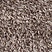 See color option for 2' 7 x 10' Luxe Solid Shag Runner ...