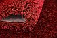 3' 3 x 5' 3 Luxury Solid Shag Rug thumbnail image 8
