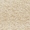 Link to variation of this rug: SKU#3115557