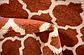 80cm x 305cm Trellis Runner Rug thumbnail image 11
