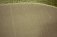 8' x 8' Luxe Solid Shag Round Rug thumbnail image 12