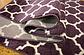 2' 7 x 10' Trellis Runner Rug thumbnail