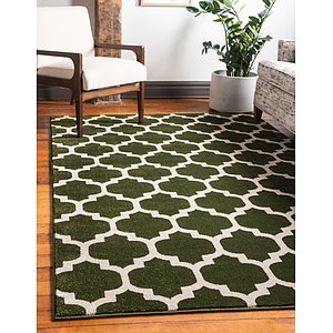 9' x 12' Trellis Rug