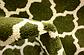 2' 7 x 10' Lattice Runner Rug thumbnail