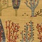 See color option for 7' x 10' Kashkuli Gabbeh Rug