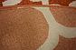 8' x 8' Trellis Round Rug thumbnail