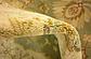 9' x 12' Kensington Rug thumbnail