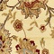 See color option for 5' x 8' Classic Agra Rug