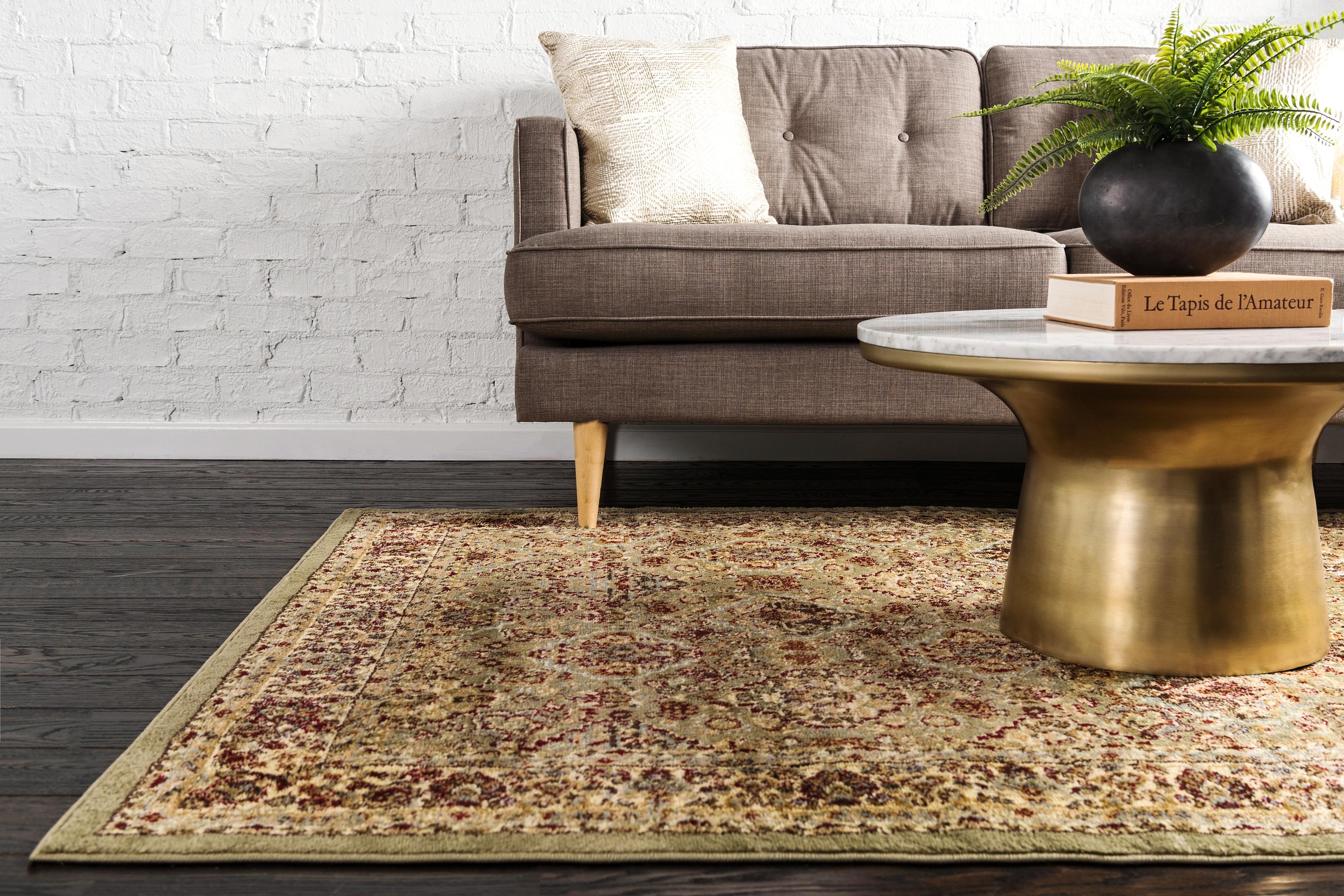 Light Green 9' x 12' Classic Agra Rug Area Rugs eSaleRugs