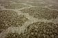 2' 7 x 19' 8 Lattice Runner Rug thumbnail image 9