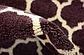 2' 7 x 19' 8 Trellis Runner Rug thumbnail