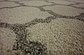 2' 7 x 19' 8 Trellis Runner Rug thumbnail image 18