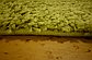 6' x 6' Solid Frieze Square Rug thumbnail image 7