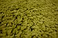 6' x 6' Solid Frieze Square Rug thumbnail image 8