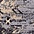 See color option for 3' x 16' 5 Heriz Design Runner Rug