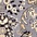 Link to variation of this rug: SKU#3119197