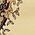 See color option for 3' x 16' 5 Mashad Design Runner Rug