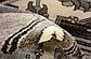 245cm x 245cm Vista Round Rug thumbnail image 14
