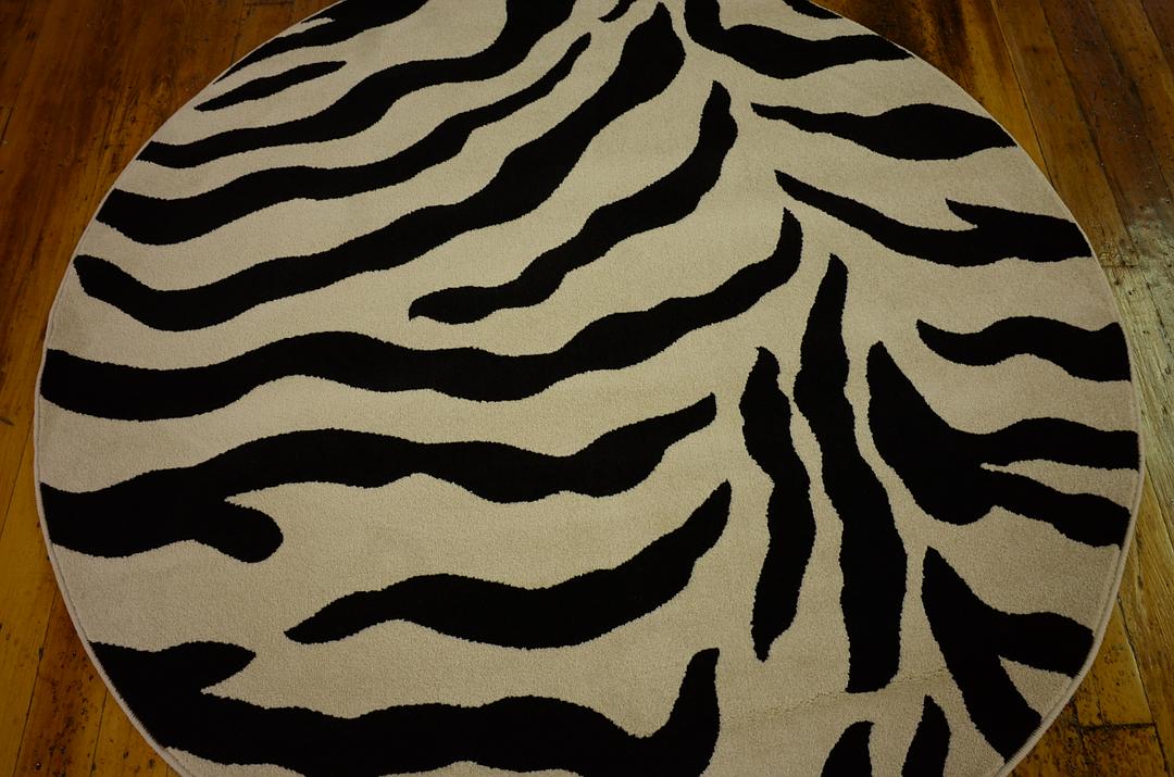 Ivory 5' x 5' Zebra Round Rug Rugs.ca