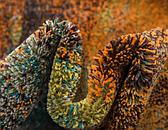 2' 7 x 10' Barcelona Runner Rug thumbnail image 7