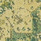 See color option for 3' 3 x 5' 3 Fleur Rug