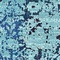 See color option for 7' x 10' Palazzo Rug